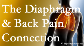 Hollstrom & Associates Inc recognizes the relationship of the diaphragm to the body and spine and back pain. 