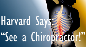 Largo chiropractic for back pain relief urged by Harvard