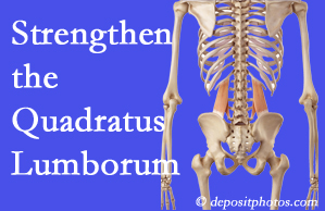 Largo chiropractic care offers exercise recommendations to strengthen spine muscles like the quadratus lumborum as the back heals and recovers.