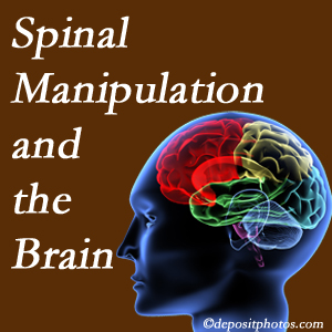 Hollstrom & Associates Inc [shares research on the benefits of spinal manipulation for brain function. 