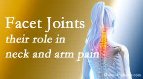 Hollstrom & Associates Inc carefully examines, diagnoses, and treats cervical spine facet joints for neck pain relief when they are involved.