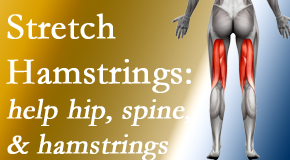 Hollstrom & Associates Inc promotes back pain patients to stretch hamstrings for length, range of motion and flexibility to support the spine.