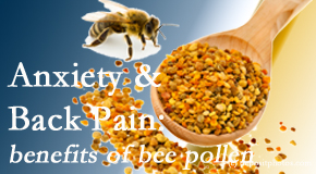 Hollstrom & Associates Inc shares info on the benefits of bee pollen on cognitive function that may be impaired when dealing with back pain.