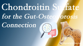 Hollstrom & Associates Inc shares new research linking microbiota in the gut to chondroitin sulfate and bone health and osteoporosis. 