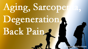 Hollstrom & Associates Inc lessens a lot of back pain and sees a lot of related sarcopenia and back muscle degeneration.