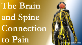 Hollstrom & Associates Inc looks at the connection between the brain and spine in back pain patients to better help them find pain relief.