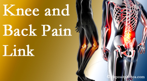 Hollstrom & Associates Inc treats back pain and knee osteoarthritis to help prevent falls.