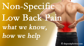 Hollstrom & Associates Inc share the specific characteristics and treatment of non-specific low back pain. 