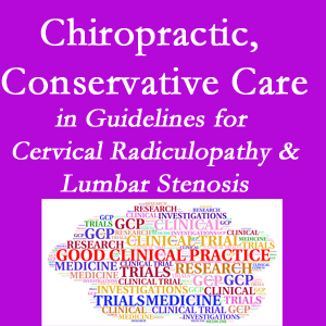 Largo chiropractic care for cervical radiculopathy and lumbar spinal stenosis is often ignored in medical studies and recommendations despite documented benefits. 