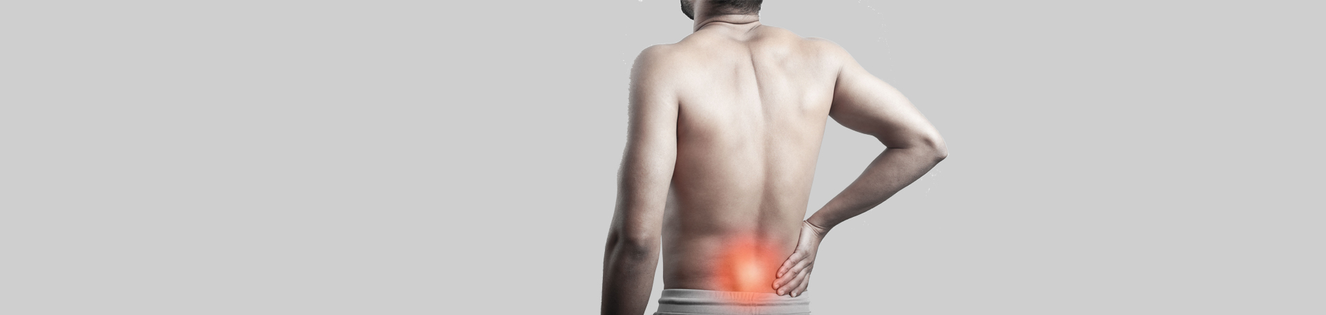 Largo back paraspinal muscles