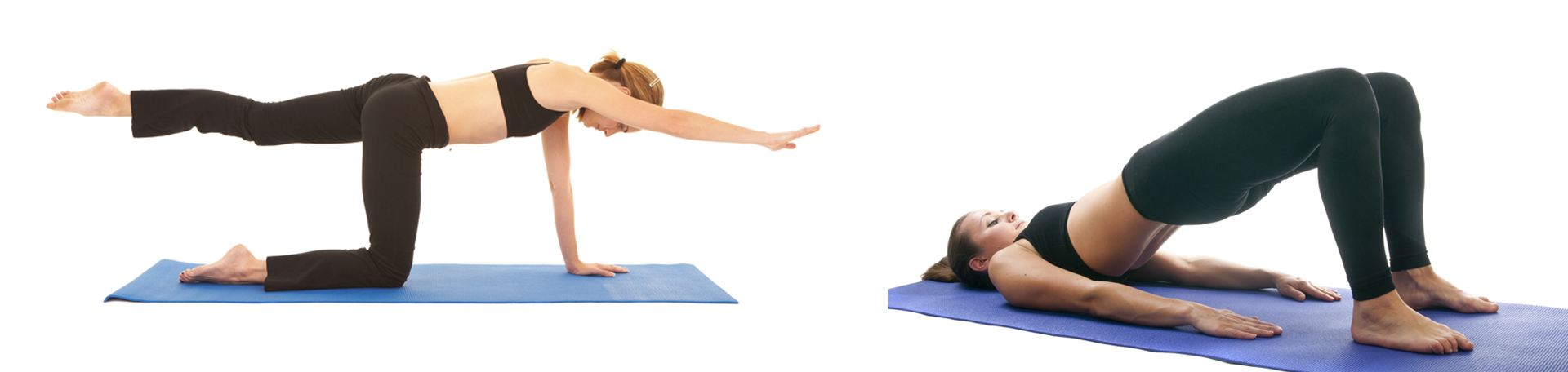 Largo chiropractic exercise to strengthen multifidus