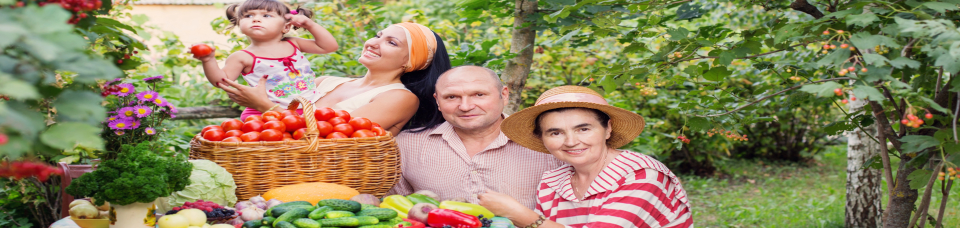 Largo chiropractic summer health tips