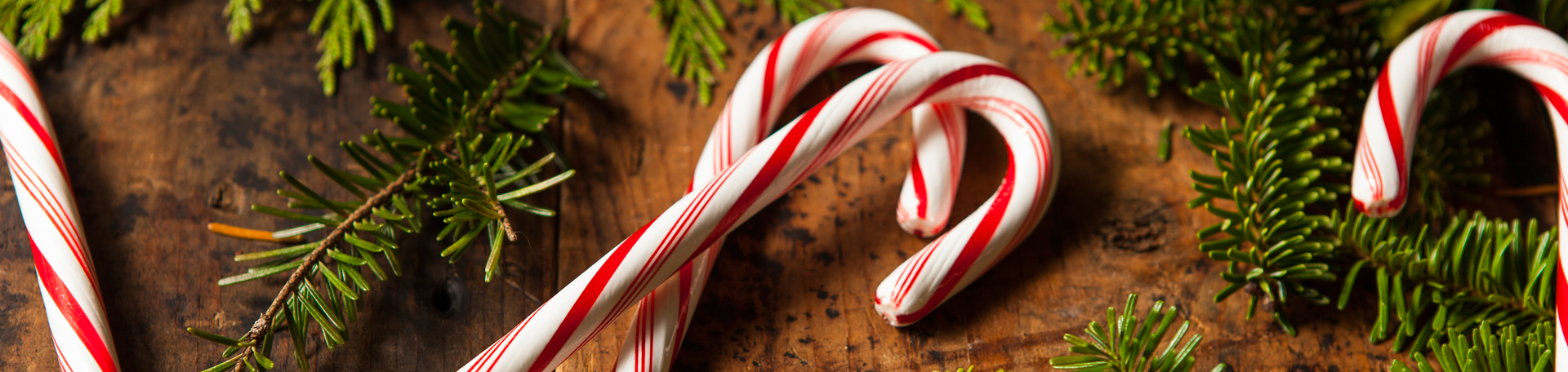 Peppermint for Largo Cognition & Appetite Regulation!