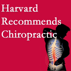 Hollstrom & Associates Inc offers chiropractic care like Harvard recommends.