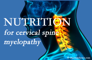 Hollstrom & Associates Inc presents the nutritional factors in cervical spine myelopathy in its development and management.