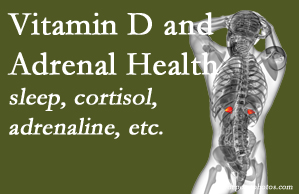 Hollstrom & Associates Inc shares new research about the effect of vitamin D on adrenal health and function.